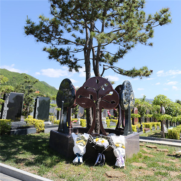 京韵园节地树葬