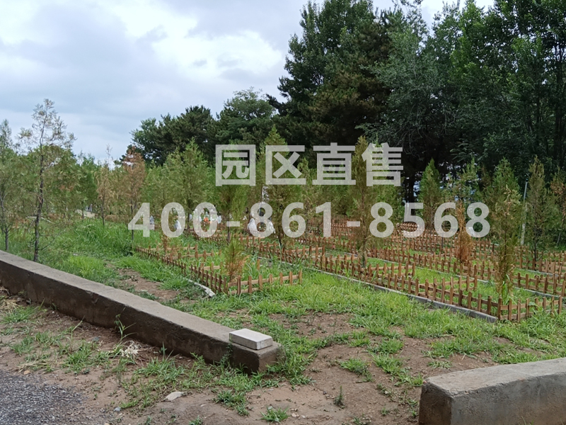  北京树葬墓地400-861-8568，北京树葬陵园墓地有哪些？